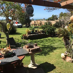 https://amor-da-vida.port-elizabeth-hotel.com